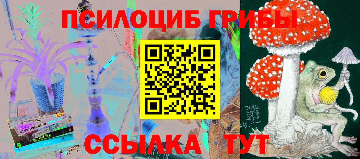 Галлюциногенные грибы Psilocybine cubensis Геленджик